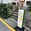 우드브라더스