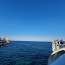 강우진 행정사 사무소 이미지