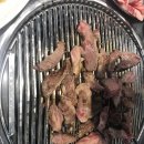 경성갈매기