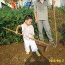 주니농장 이미지