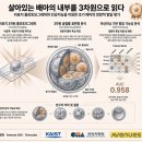 분당CAR병원