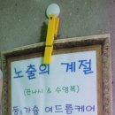 모범약초