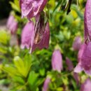 양지로8C 이미지