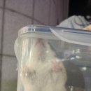 한마음종합동물병원 네이버블로그