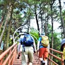 양마산 물빛길 이미지