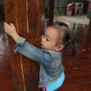 JJ놀이터 이미지