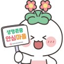 하나로이화약국 네이버블로그