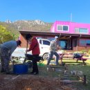 달마스테이 이미지