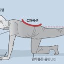 허리 보강 운동 이미지