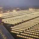 선은농장 이미지