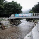 엘림빌딩