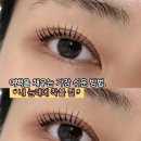 브로우수
