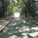 금호3단지 이미지