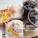 맥도날드 맥앤치즈 더블비프, 스파이시치킨 내돈내산 후기｜버거 2종 비교(+맥런치 할인,시간,칼로리)
