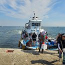 동천여행사 | 국화도 당일치기 섬 여행 제부마리나 요트투어 국내 섬 패키지 여행 전문 승우여행사 효도관광 추천