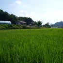 정려한