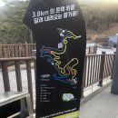 통영루지