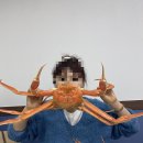 GR(울진군)-[동해대로]-상-3 | 울진여행 숙소고민 식당고민은 그만/금강송에코리움 (feat.대게는 후포공판장, 울진 맛집 제일반점)