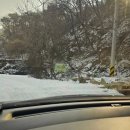 강원도 횡성 팜스프링 캠핑장 후기⛺ 아이들과 동물 친구들과 함께한 캠핑 여행