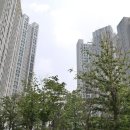 인천시 연수구 송도더샵그린워크2차