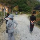 송정섭농장 이미지