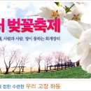 화개장터 벚꽃축제.-십리벚꽃길(2009. 4. 3 ~ 4. 5) 이미지