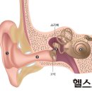 서울난청센타 이미지