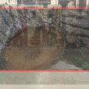 피로탈출활력요가 이미지