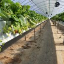 승현 농장 이미지