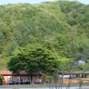 더 강촌 민박 이미지