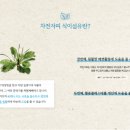 올인원 마켓플레이스 네이버블로그