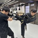 용인대 청목 mta 태권도 이미지