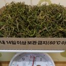 검성로3-1 이미지