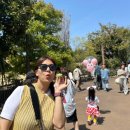 더블게임랜드 | 도쿄여행 4박5일(3) - 도쿄 디즈니랜드 디즈니씨 개장부터 폐장까지 놀기, 신주쿠 야끼니꾸 미락정