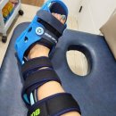 전치 앞(2) 이미지