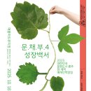 도시매개프로젝트
