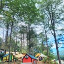 도토리캐빈 이미지