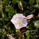 애월한담해안산책로 이미지