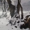 주왕산주산지민박 이미지