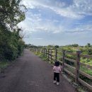 명월일기 이미지