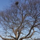 구봉산길 이미지