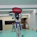 부산TIA태권도 이미지