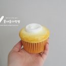 커피베이 영천금호점 네이버블로그
