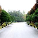 청남대 진입로 이미지