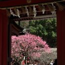 궁전온천 이미지