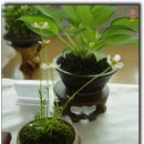 창녕초등학교 이미지