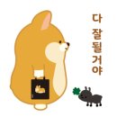 애니수지