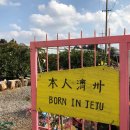 재미농장 티스토리