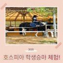 남동22 | 남동승마클럽 학생승마 체험 이용후기 및 예약 방법