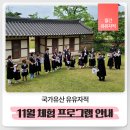 비단로 | 11월, 가을의 끝과 겨울의 시작을 잇는 국내 체험 여행지 추천